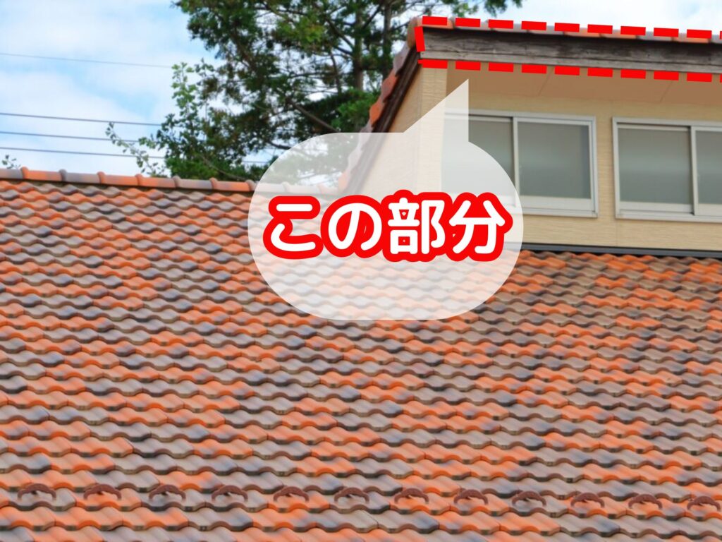 鼻隠しの場所